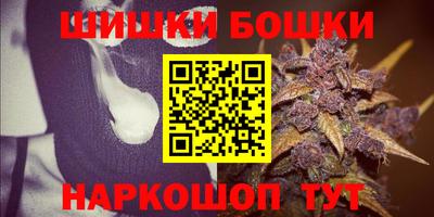 дживик Бийск