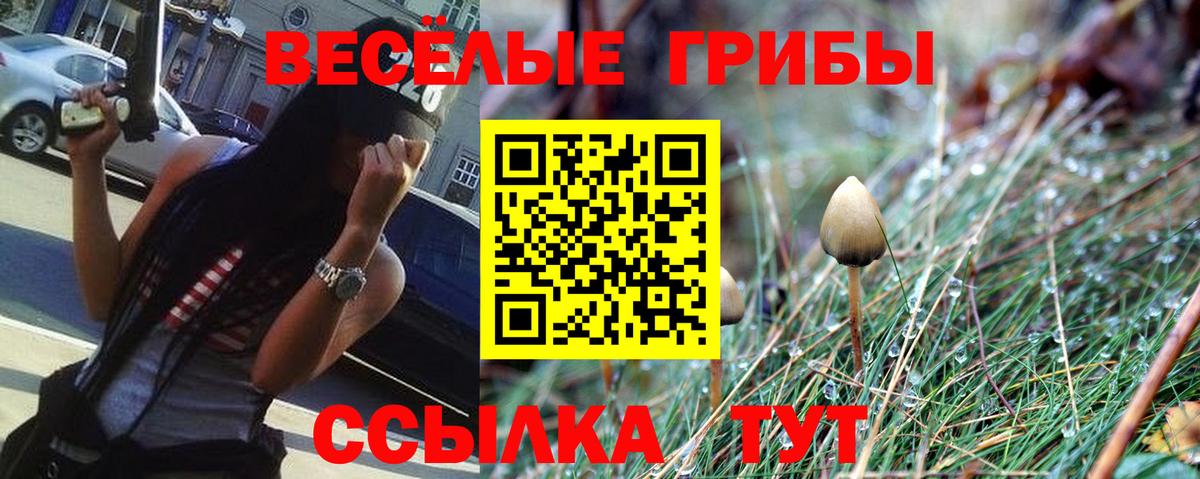 Галлюциногенные грибы Psilocybine cubensis Карталы