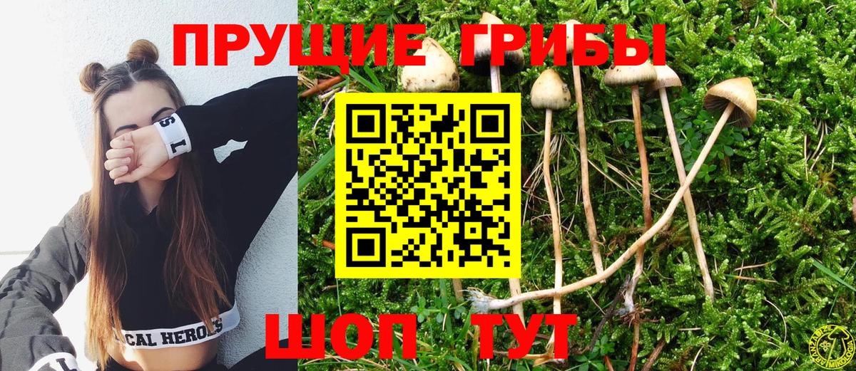 Псилоцибиновые грибы Magic Shrooms  Вход с VPN  Карталы 